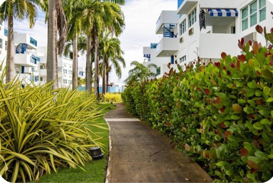 Breezy Nights Puerto Rico Daire Loiza Dış mekan fotoğraf